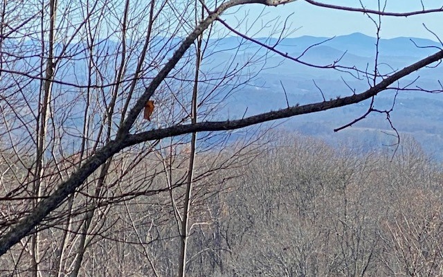 LT 5 Sunrock Mountain Trc