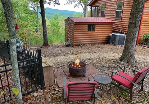 A home in Mineral Bluff