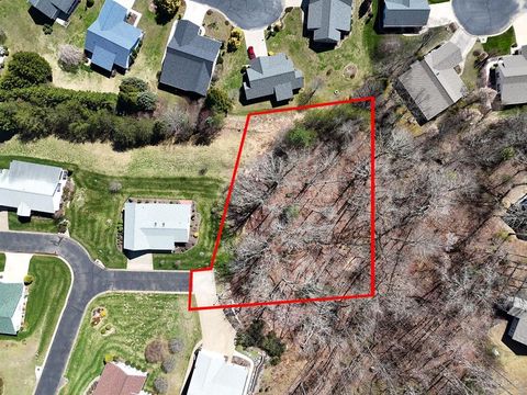 Lot 91 Peyton Drive Blue Ridge GA 30513