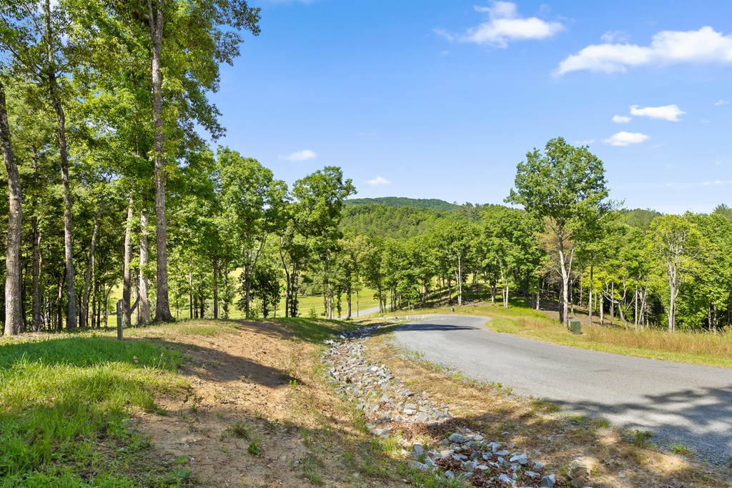 Lot 4 Ridge Drive