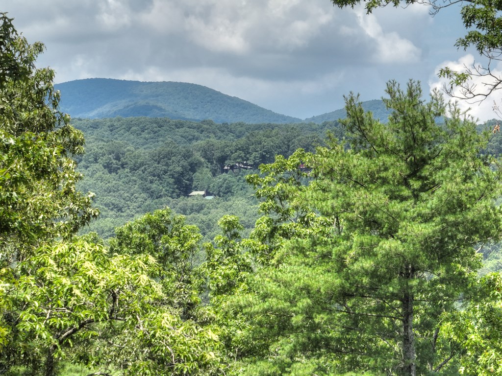 28 Aska Forest Trail