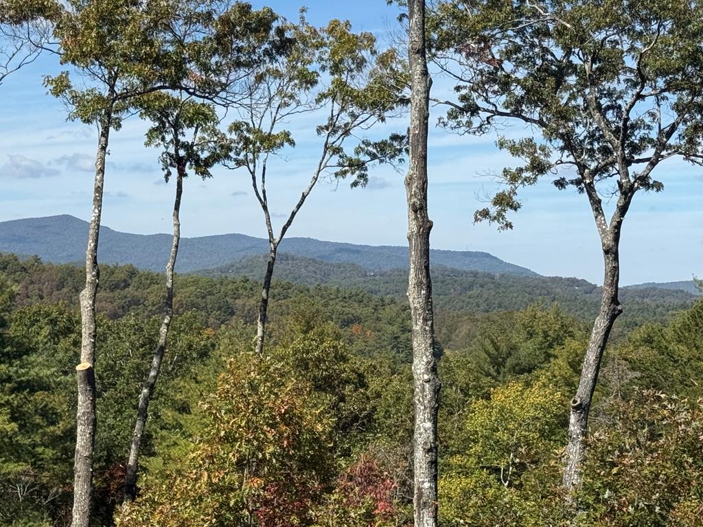 28 Aska Forest Trail