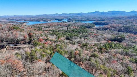 A home in Blue Ridge