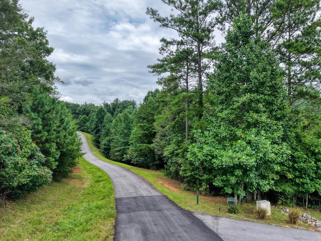 LOT #90 The Hills At Queens Gap