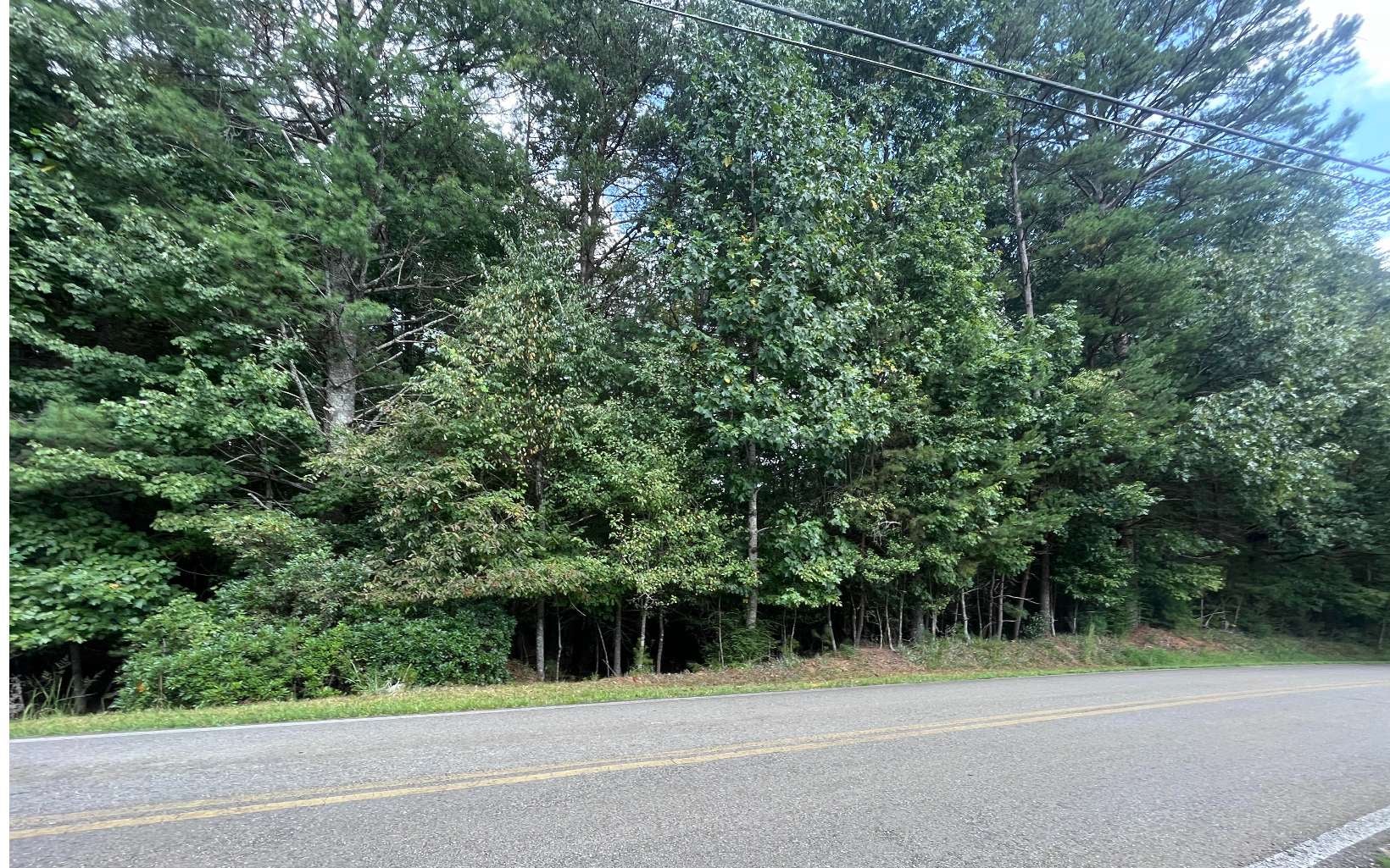 LT 88 Shenandoah Drive