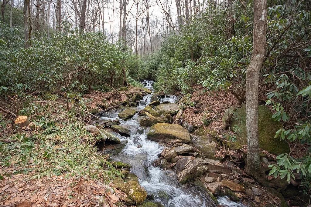 575 Carolina Springs Lane