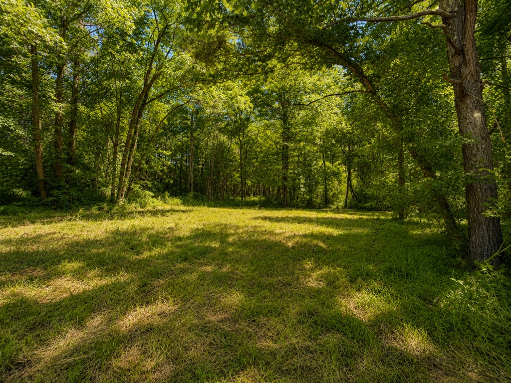 48.64 Acres | Highway 515 Frontage | Commercial Potential | Unrestrict – image 29