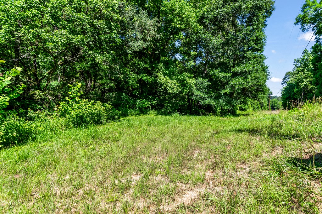 48.64 Acres | Highway 515 Frontage | Commercial Potential | Unrestrict – image 30