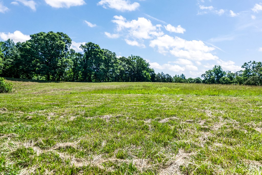 48.64 Acres | Highway 515 Frontage | Commercial Potential | Unrestrict – image 27