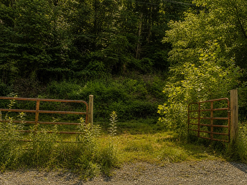 48.64 Acres | Highway 515 Frontage | Commercial Potential | Unrestrict – image 6