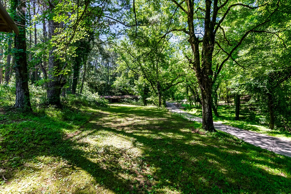 48.64 Acres | Highway 515 Frontage | Commercial Potential | Unrestrict – image 32