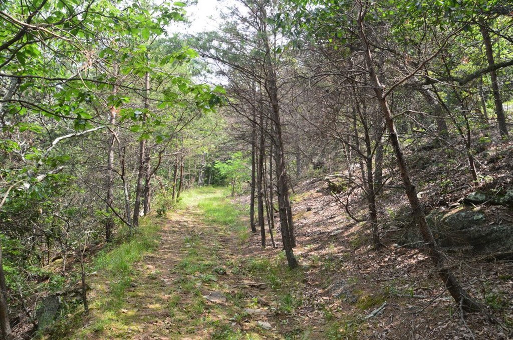 48.64 Acres | Highway 515 Frontage | Commercial Potential | Unrestrict – image 47