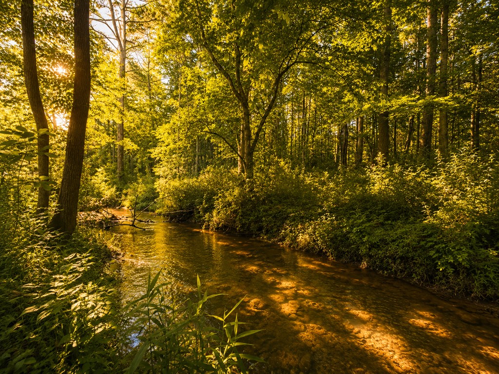 48.64 Acres | Highway 515 Frontage | Commercial Potential | Unrestrict – image 23