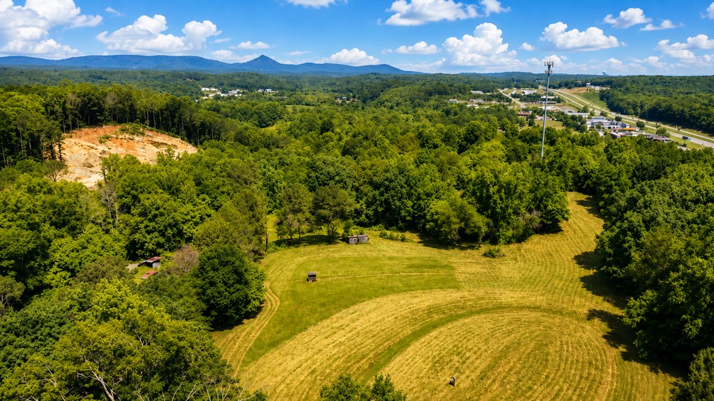 48.64 Acres | Highway 515 Frontage | Commercial Potential | Unrestrict – image 24