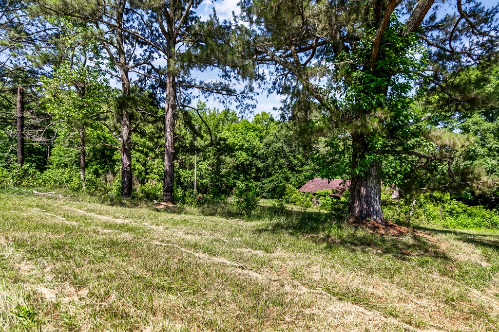 48.64 Acres | Highway 515 Frontage | Commercial Potential | Unrestrict – image 31