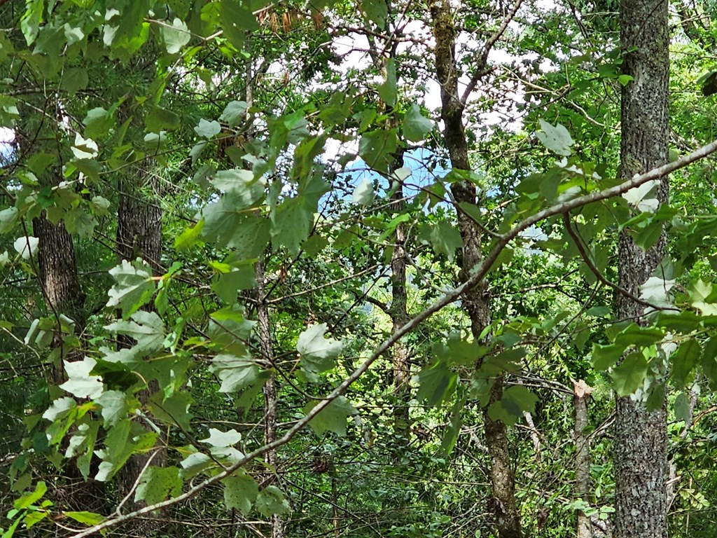 2.71 ac Ridgeline Road