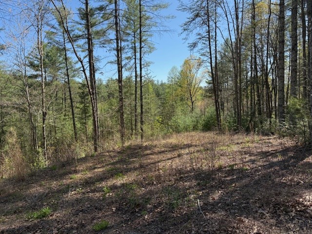 Lt 29A&B Cabernet Way