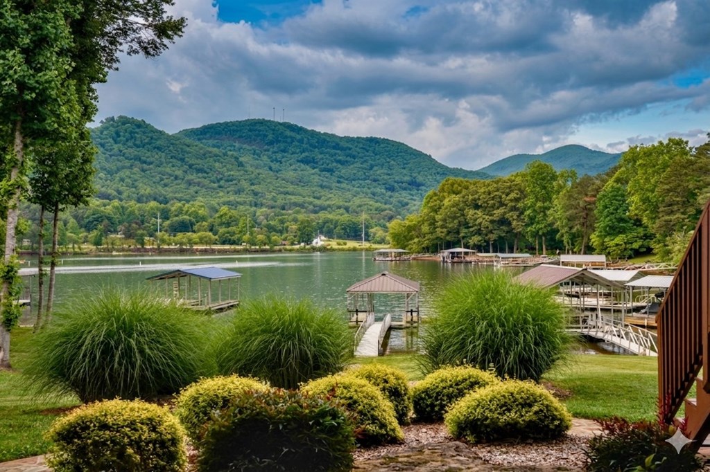577 Beech Cove Drive
