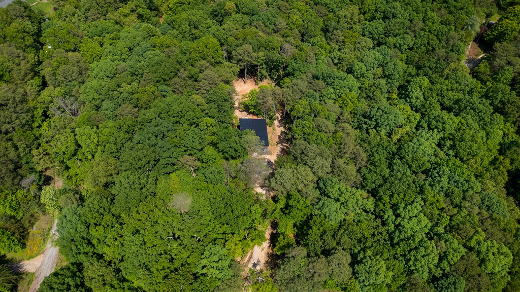 43 Old Federal Road
