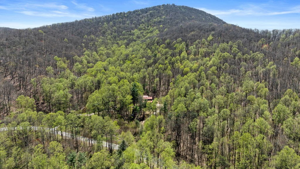65 Caldwell Mountain Road
