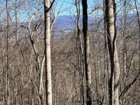 Lot 29 Hidden Summit Road Hiawassee GA 30546
