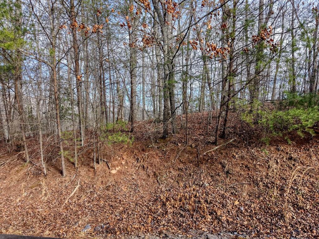 Lot 9 Oak Pointe Drive