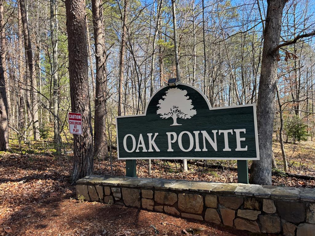 Lot 9 Oak Pointe Drive