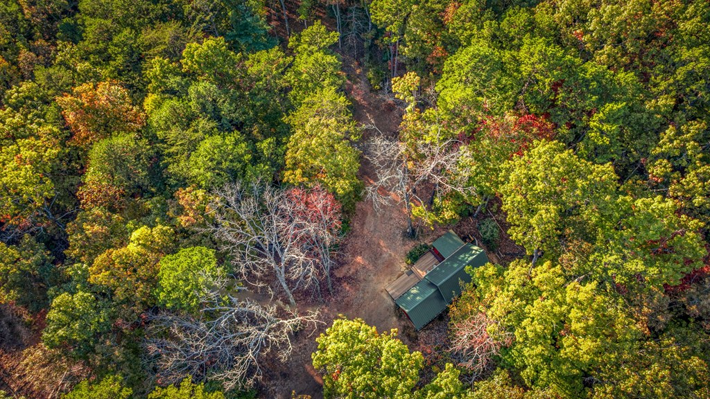 470 Mount Carmel Trail