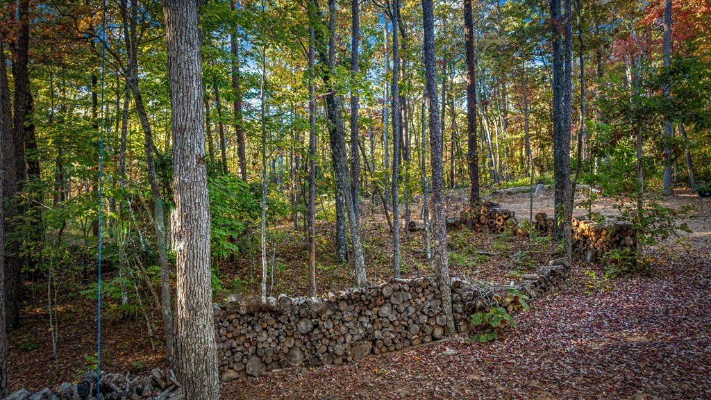 470 Mount Carmel Trail