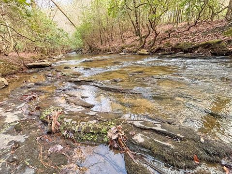 5AC Lovejoy Lane Talking Rock GA 30175