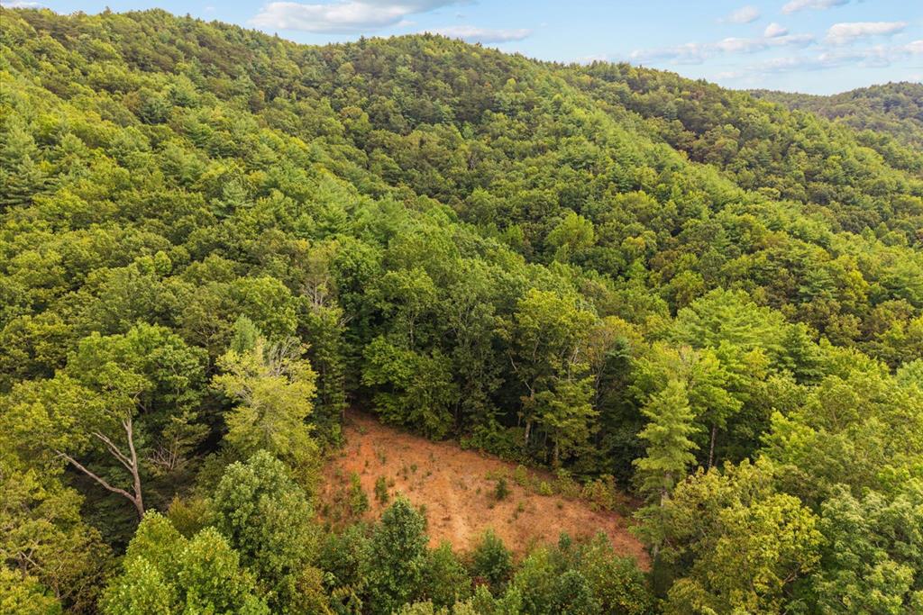 0 Grassy Mountain Road