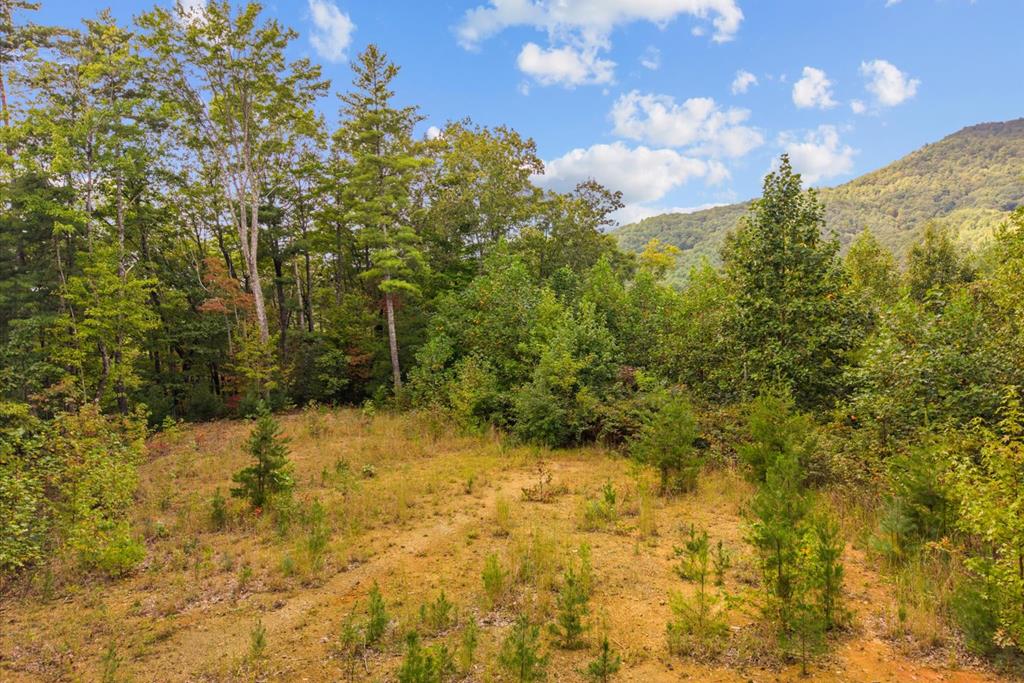 0 Grassy Mountain Road