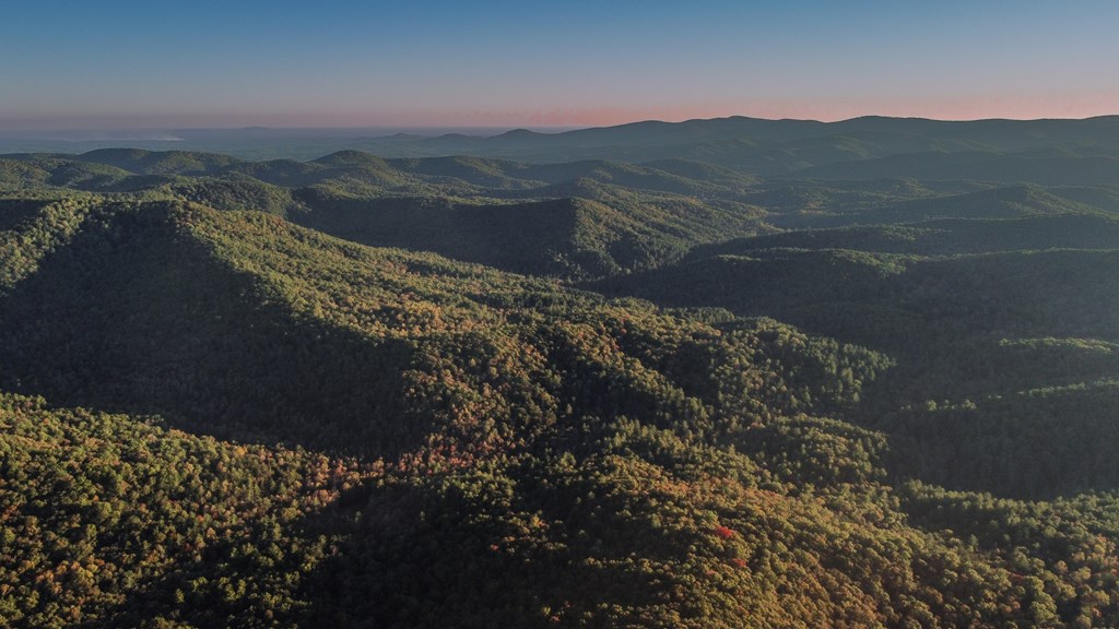 686 Laurel Hill Lane