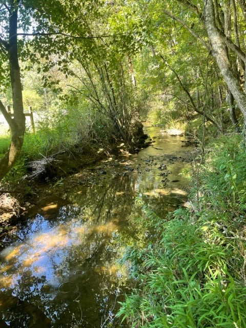Lot 5 Clear Creek Preserve Way