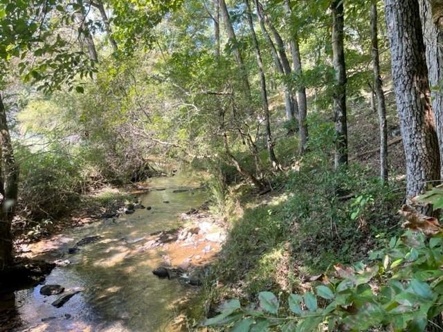 Lot 5 Clear Creek Preserve Way