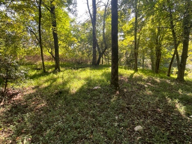 Lot 5 Clear Creek Preserve Way