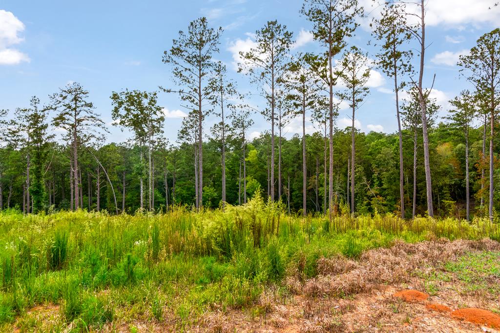Lot 92 Blalock Mountain Road