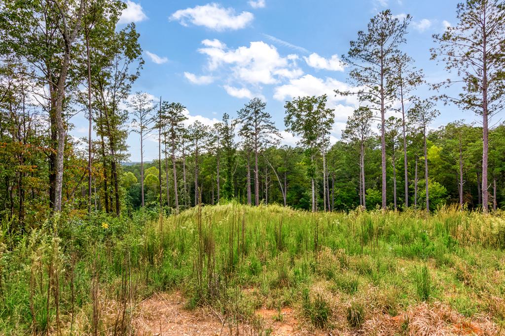 Lot 92 Blalock Mountain Road
