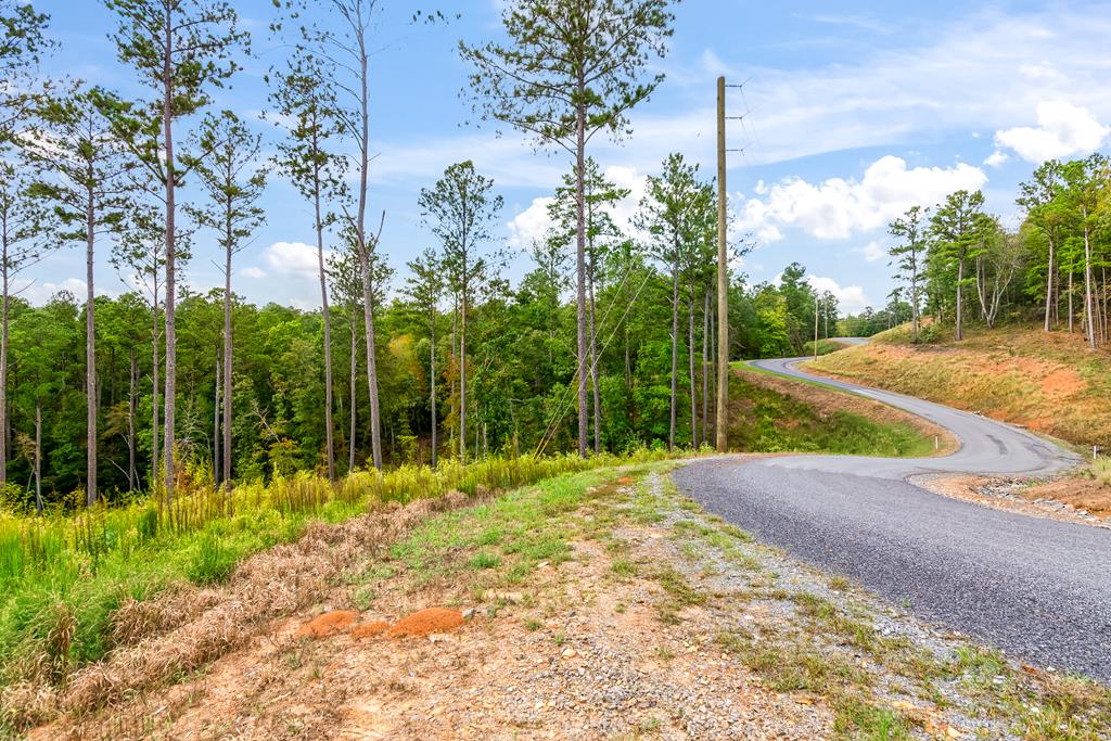 Lot 92 Blalock Mountain Road