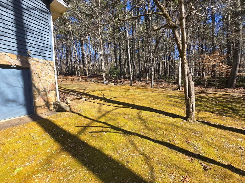 listing image 44
