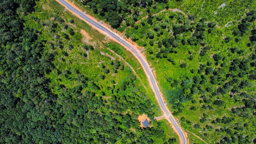 Talking Rock, Georgia 30175, United States, ,Land,Active,54777