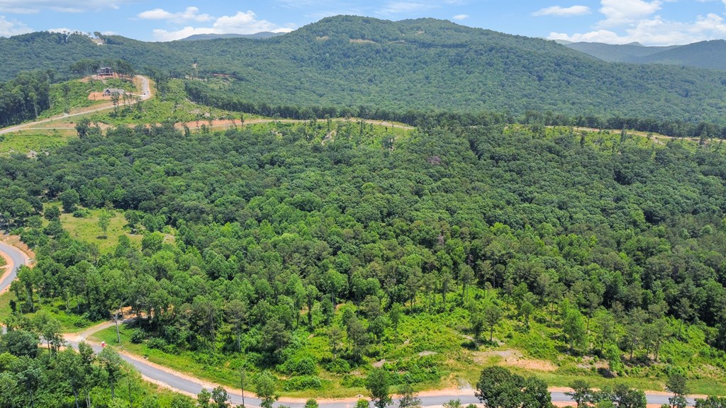 Talking Rock, Georgia 30175, United States, ,Land,Active,54777