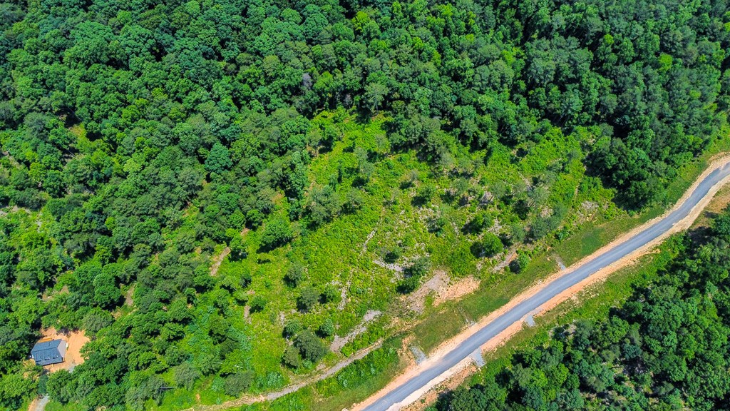 Talking Rock, Georgia 30175, United States, ,Land,Active,54777