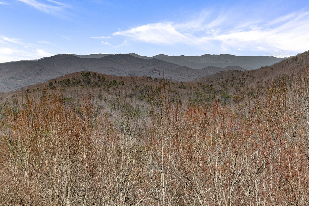 Old Mill Old Mill Road