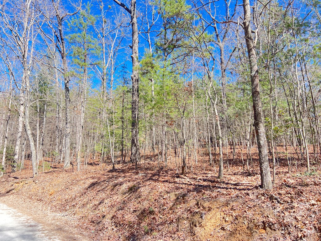Old Mill Old Mill Road