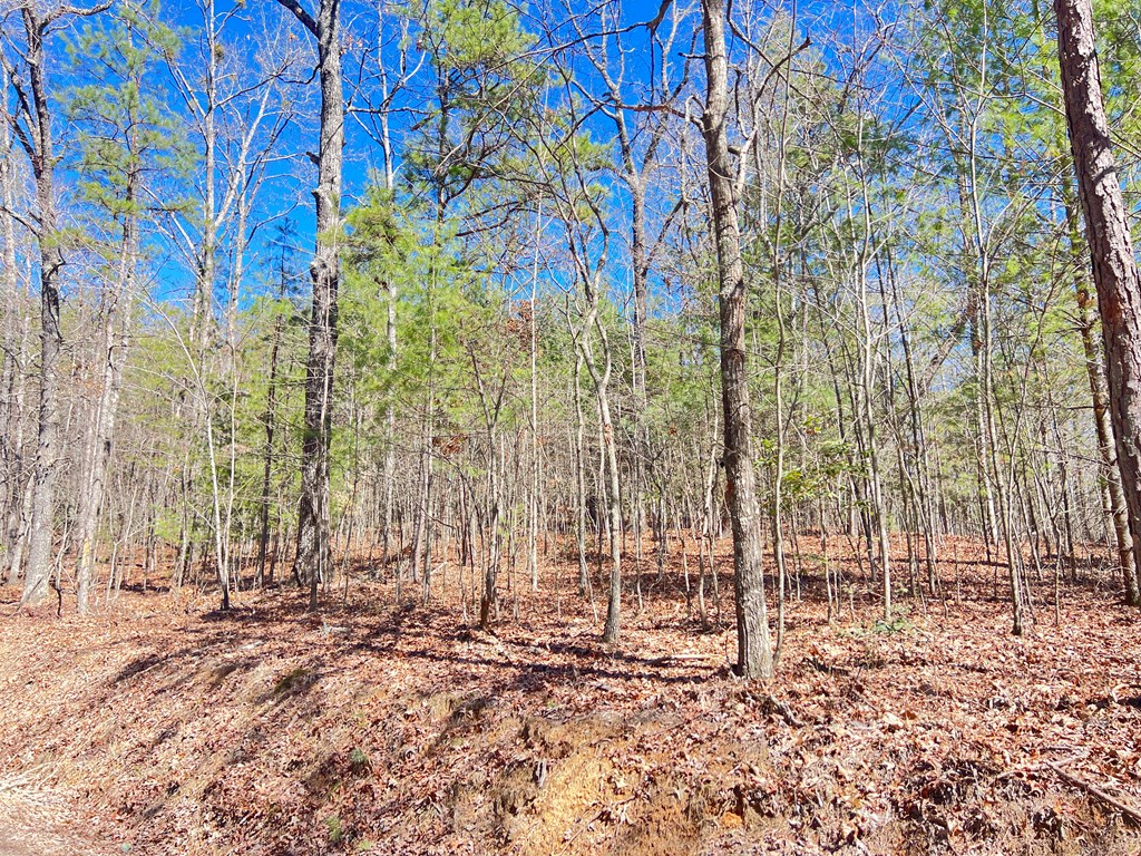 Old Mill Old Mill Road