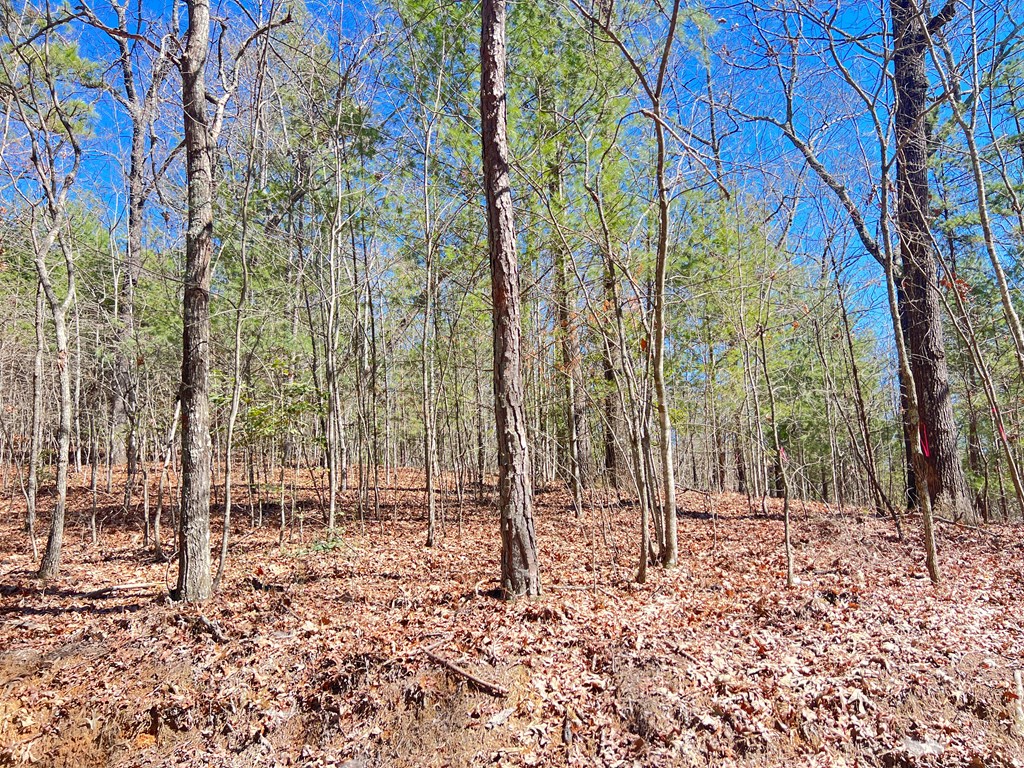 Old Mill Old Mill Road