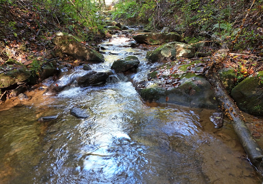 373 Scrougetown Road