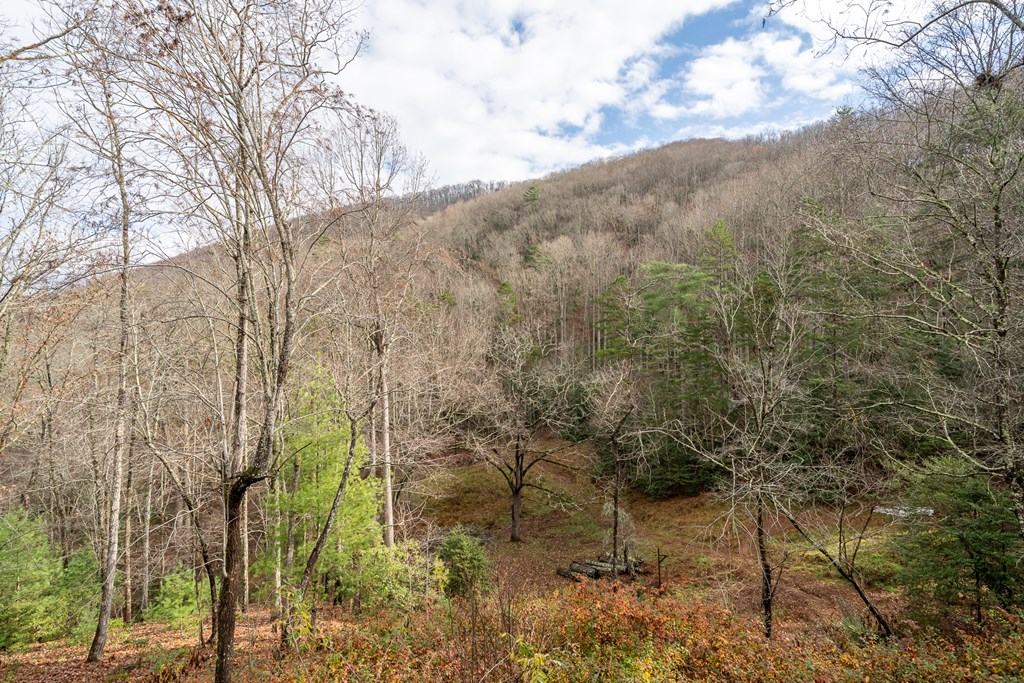 336 Old Skeenah Gap Rd, Suches, GA, 30572, USA, 2 Bedrooms Bedrooms, ,4 BathroomsBathrooms,Residential,Active,336 Old Skeenah Gap Rd,420480