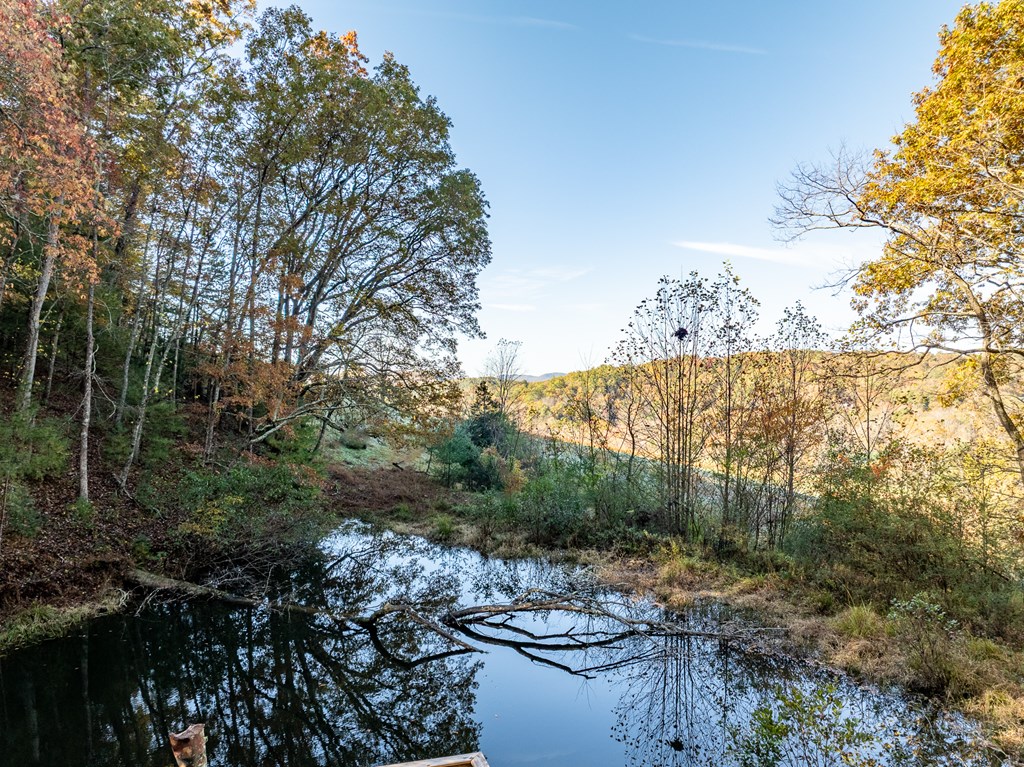 336 Old Skeenah Gap Rd, Suches, GA, 30572, USA, 2 Bedrooms Bedrooms, ,4 BathroomsBathrooms,Residential,Active,336 Old Skeenah Gap Rd,420480